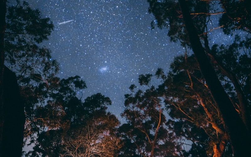 k1集团装备用于荒野露营体验场景